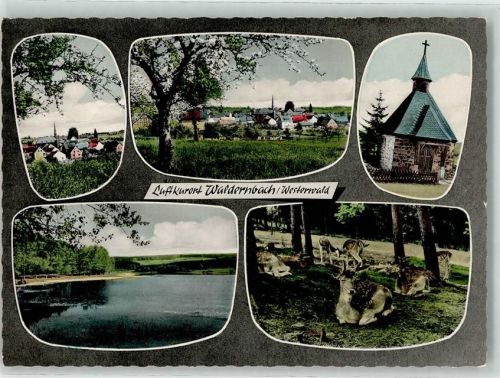 Waldernbach Kirche Kapelle See Reh Wild