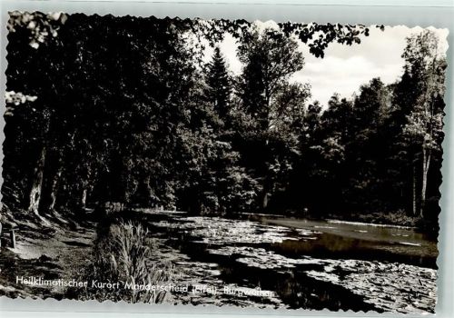 Manderscheid Burgweiher
