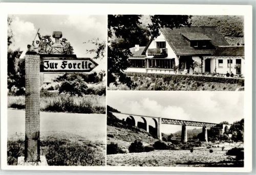 67305 W6719 Eiswoog , Pfalz Foto AK Gasthaus Forelle Handgeschnitzer Wegweiser Eistalviadukt