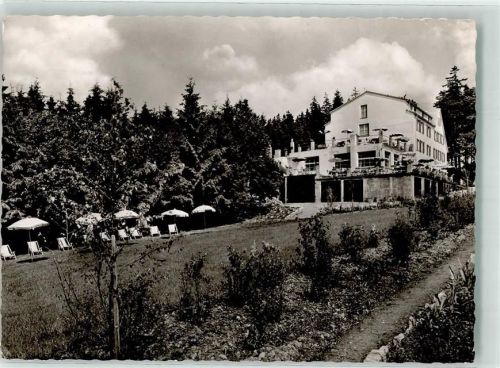 Glashütten Wald Hotel Liegewiese Sonnenschirm Terrasse