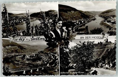 Bullay Alf Moselbrücke Höllental und Burg Arras