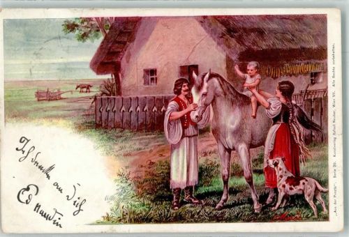 Bratislava 1901 Aus der Serie Puzsta Serie 20 Ort lt. Stempel
