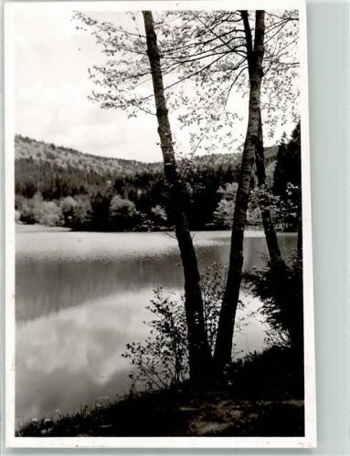 Fornsbach Foto Original aus Archiv eines Ansichtskartenverlags Waldsee Ort handschriftlich