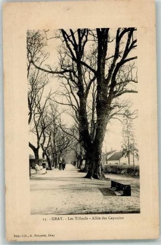 Gray Allee des Capucins Foto-AK