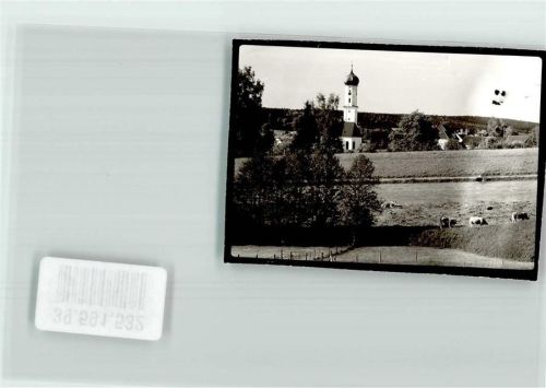 Langenneufnach Kühe Ort handschriftlich Foto Orginal aus Archiv eines Ansichtskartenverlags