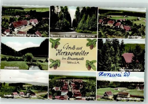 Herzogsweiler Gasthaus Hirsch Waldhorn Haus Hanni Haus Sonnenschein