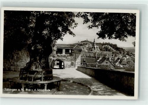 Einsiedel Schlosslinde
