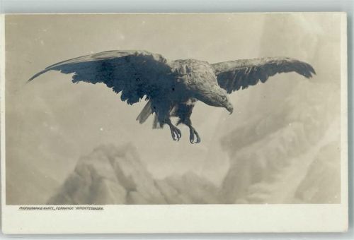 1910 - 1920 Photografie-Karte Fernande Berchtesgaden