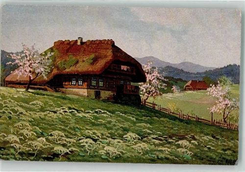 Ein einsames Schwarzwaldhaus zwischen blühenden Bäumen Verlag Geschwister Moos Serie VI No. 18
