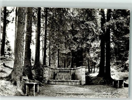 Tanne Quelle Jägerborn Bild und Heimat Fotograf Melzer