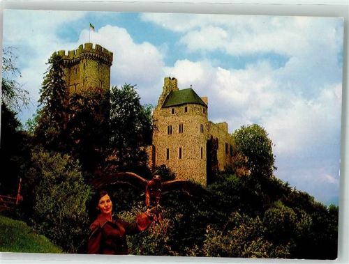 Pelm Adler und Wolfspark Kasselburg