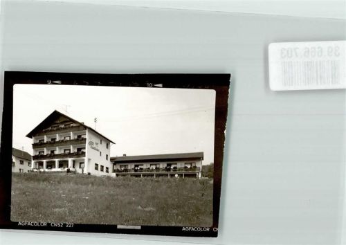 Wildensee Foto Original aus Archiv eines Ansichtskartenverlags Pension Waldfrieden Ort handschriftlich