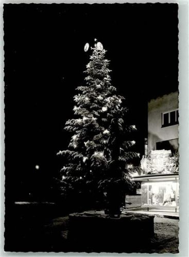 Haslach Winter Tannenbaum Foto Original aus Archiv eines Ansichtskartenverlags