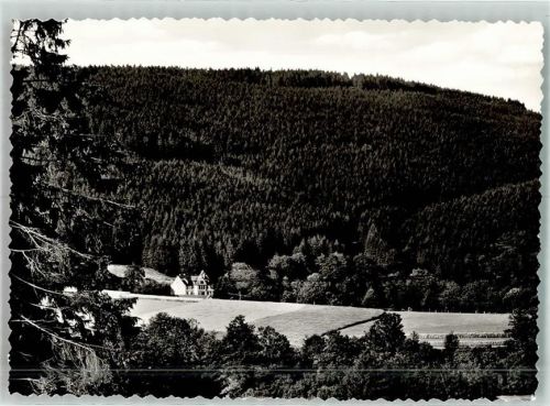 Berghausen Gasthaus u. Pension Grünewald