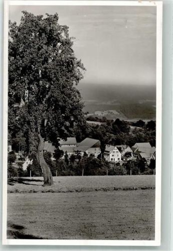 Winterkasten Gasthaus Pension zur Traube Foto AK