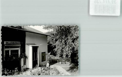 Dillenburg Foto Original aus Archiv eines Ansichtskartenverlags Waldhaus u. Betriebe Ort handschriftlich