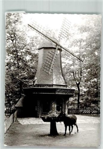 Odenthal Märchenwald Windmühle Esel Ort handschriftlich Foto Original aus Archiv eines Ansichtskartenverlags