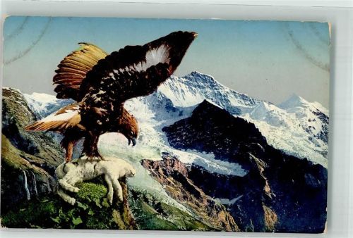 Steinadler Schneehase B Serie I Nr.1