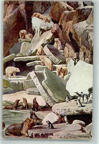 Stellingen 1912 sign. de Bruycker Walrosse Seelöwen Eisbären Brillen Pinguine