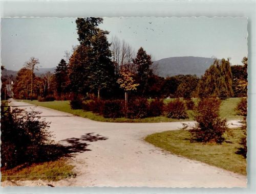 Schieder Hauptallee im Kurpark Foto Original aus Archiv eines Ansichtskartenverlags Ort handschriftlich