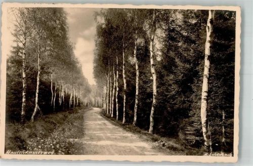 Tharandt 1926 Birkenallee Mauerhammer Weg Fotograf Schönbach Ort lt. Recherche