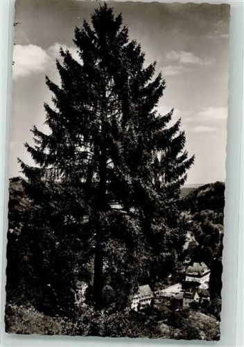 Sulz 1959 Pension Pfisterwald
