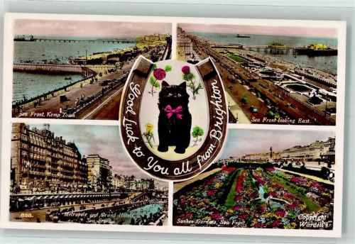 Brighton Katze Grand Hotel Sunken Gardens Hafen