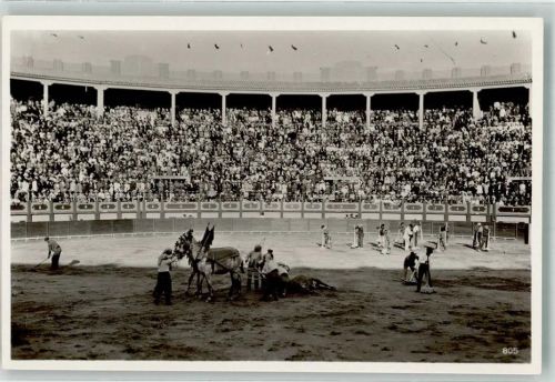 Arena Stadion