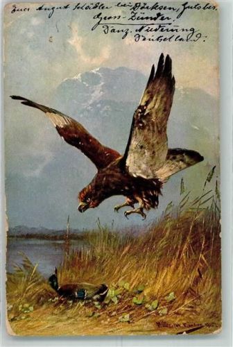 1917 Adler Ente Künstlerkarte