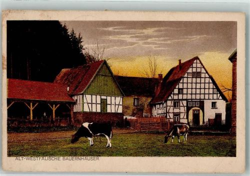 1921 Alt Westfälisch Kühe