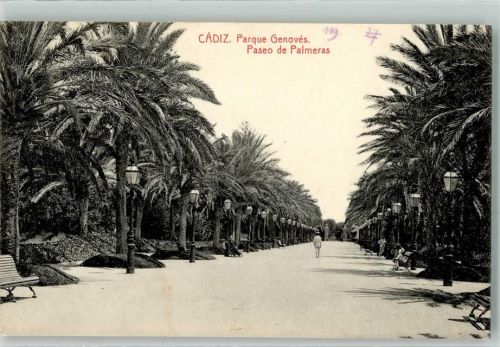 Cadiz Paseo de Palmeras