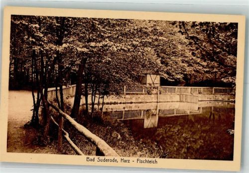Bad Suderode Fischteich