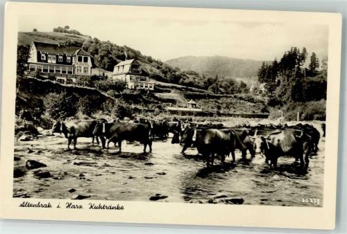 Altenbrak Hotel Kuhtränke
