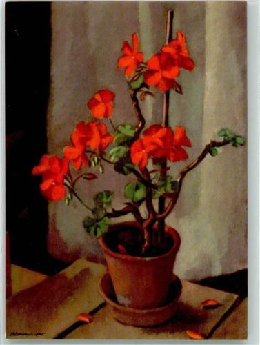sign. Holzmann, Adolf Geranium Wohlfahrtskarte zugunsten der Soldaten-Lese- und Schreibstuben der C.V.J.M. Pfadfinder