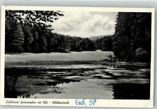 Eschershausen Grünenplan im Hils Hilsbornteich
