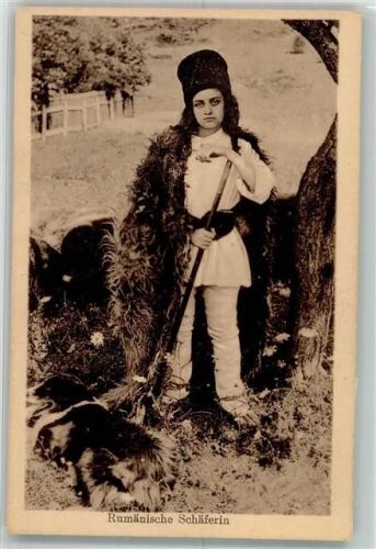 Schäferin Hund
