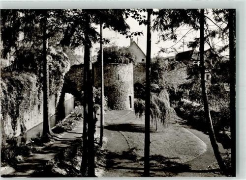 Tauberbischofsheim Parkanlage an der Stadtmauer