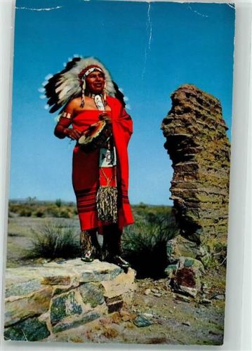 Western Indian Chief