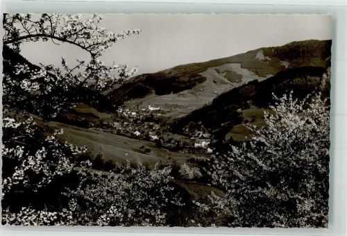 Altsimonswald