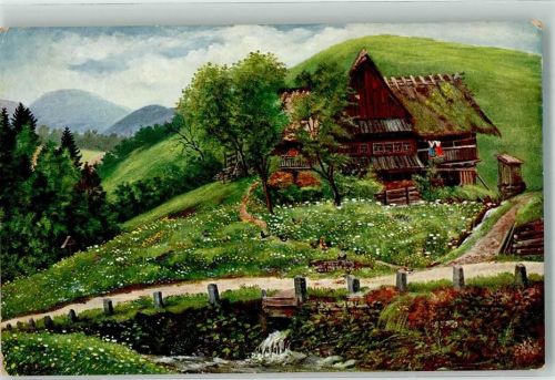 1917 Verlag Edm. von König Nr. 209 Schwarzwaldhäuser Serie III