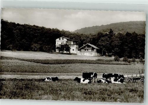Sobernheim Pension Kurheim Neues Leben