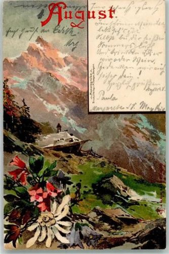 1899 Monats AK August Edelweiß Blumen Berge