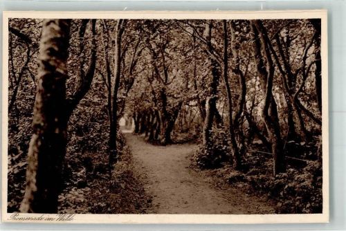 Norderney Marienheim Ort handschriftlich Promenade im Wald