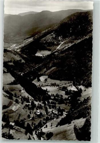 Wildgutach