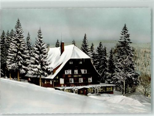 79868 W7821 Bärental Foto AK Gasthaus zum Adler Winter