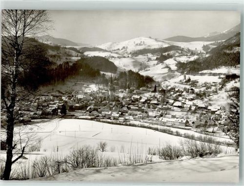 Schönau Winter