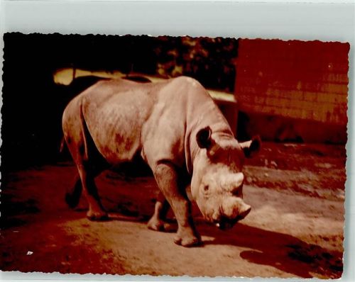 Frankfurt Zoo Ort handschriftlich