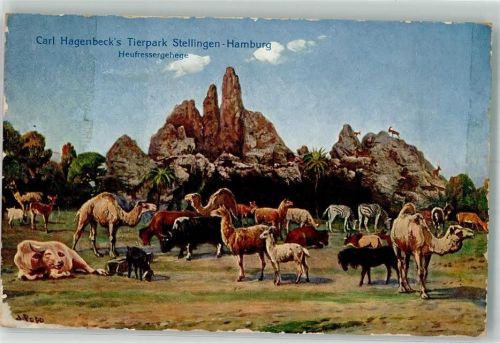 Stellingen Heufressergehege Kamel Zebra Lama Stier sign. Popp J.