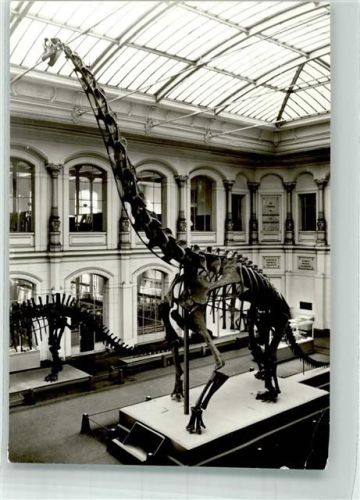 1980 Bild und Heimat Museum für Naturkunde DDR