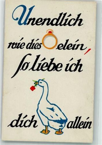 Humor Hornkarte Gans